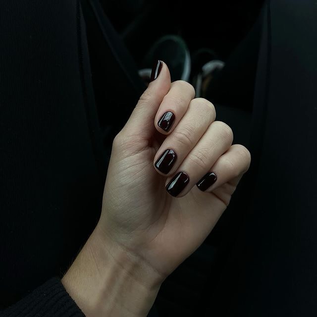 STOP Everything: Here are 15 Dark Winter Nail Designs You will LOVE