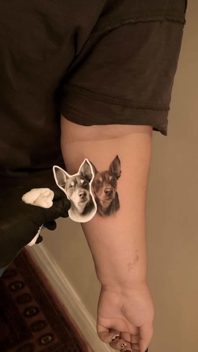 23 awesome Animal Tattoos to check out