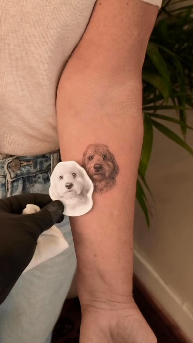 23 awesome Animal Tattoos to check out